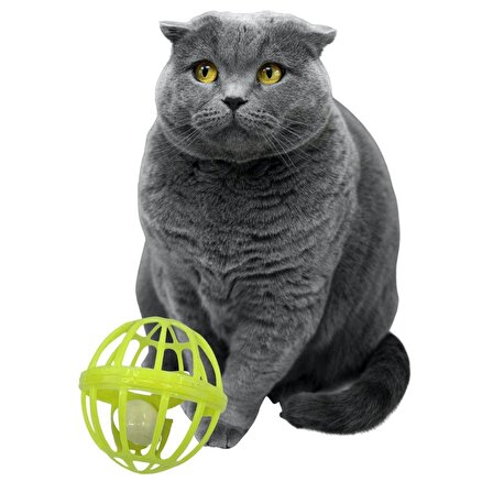  BUFFER®  Kediler İçin Renkli Tekerlekli İçinde Top Olan Kafes Şeklinde  Evcil Hayvan Oyuncağı